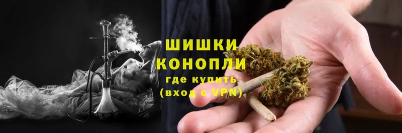 Марихуана OG Kush  Луга 